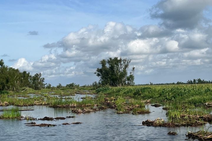 Hurricane Ida and Flotant Marsh: An Initial Look at the Storm’s Impacts to Louisiana’s Wetlands