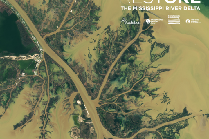 Louisiana’s Coastal Program is at Risk: Louisiana’s Keystone Project in Limbo