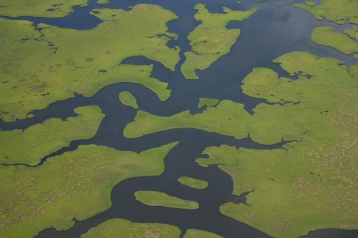 Restore the Mississippi River Delta