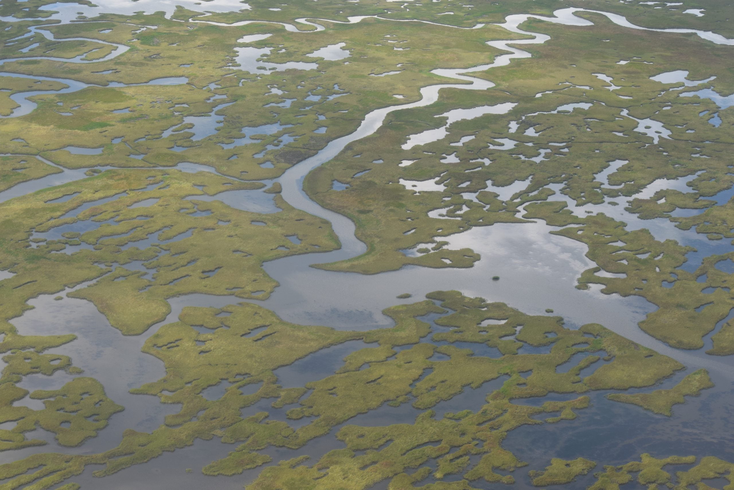 The World Needs More Louisiana - Restore the Mississippi River Delta