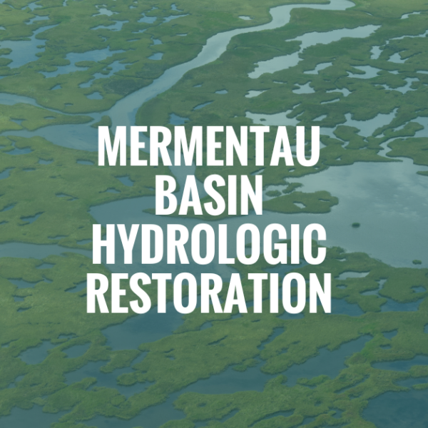 Our Priority Projects Coastal Master Plan Projects